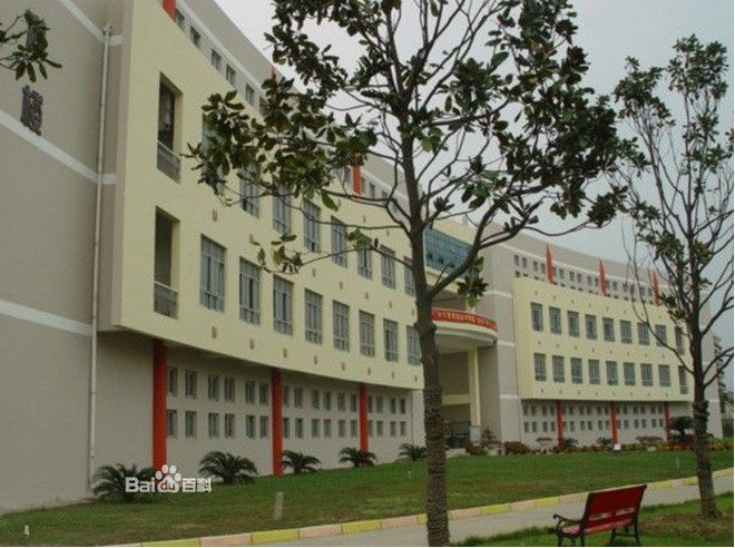 武汉市吴家山第四小学图片