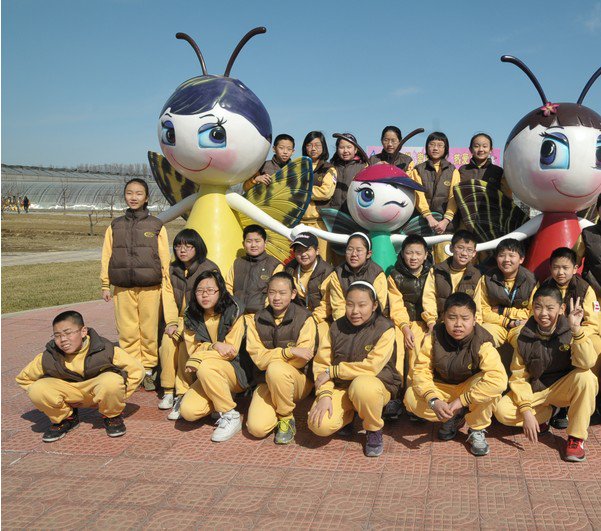 北京第二实验小学怡海分校图片