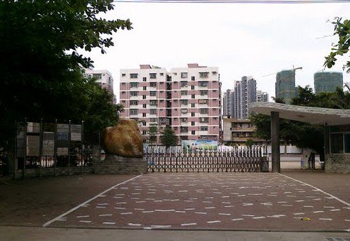 湛江市第二十一小学图片