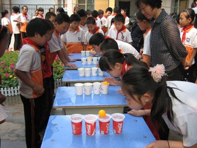 石家庄市东三教小学