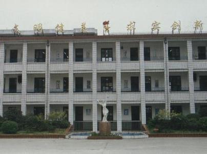 合肥市六安路小学图片