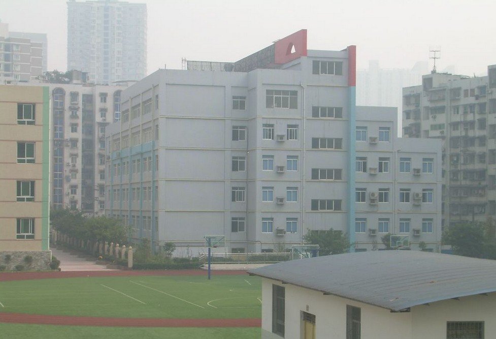 重庆市天台岗小学（花园校区）图片