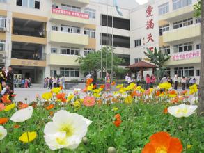 成都市行知小学图片