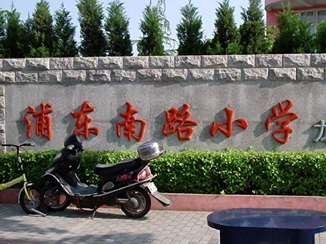 浦东南路小学龙阳路校区图片