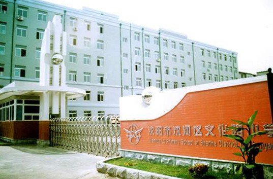 沈阳市文化路小学图片